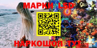 дмт Кингисепп