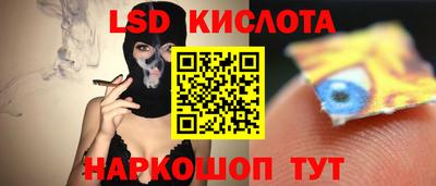 гашик Кинель
