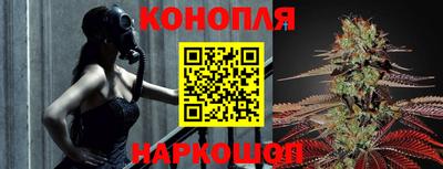 гашик Кинель
