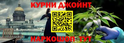 дмт Кингисепп