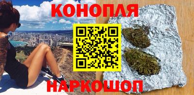 дмт Кингисепп