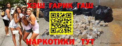 дмт Кингисепп