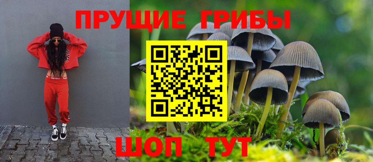 Псилоцибиновые грибы Magic Shrooms  Вход с VPN  Ярославль  Псилоцибиновые грибы Psilocybine cubensis 